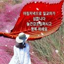 11월8일(금)서울방~[사소한 배려의 향기] 이미지