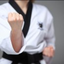 박사 백호 태권도장 이미지