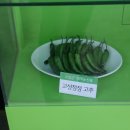 축산예일농장 이미지