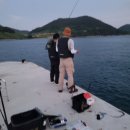 세븐일레븐 여천점 | 금오도 낚시 여행