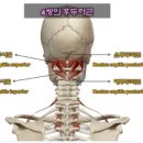 로움필라테스 이미지