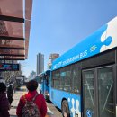 청개구리 | 부산 워케이션 후기 (청개구리X한달살러)