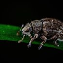 내내약국 이미지