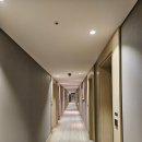 룸이야 | 제주 더본 호텔 후기 | 디럭스 트리플룸