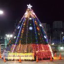 인광농장 티스토리