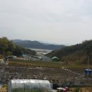 용신농장 이미지