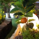 제줏간 구디점 이미지