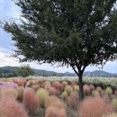 신백중학교 | 자랑하고픈 사진 모음, 글 두서없음 주의