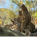 낙동강세평하늘길 이미지