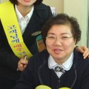 보령성주우체국 데일리안