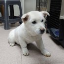 봉림동 주민센터 앞 이미지