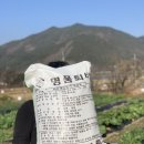 명품퇴비 이미지