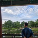 두꺼비로19번길(3-271) | 📍경주~울산 2박 3일 국내여행