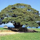 남해-299 이미지