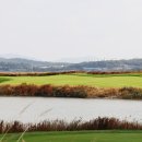 링스골프존 이미지