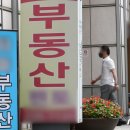 새서울공인중개사사무소 이미지