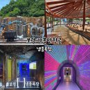 8/23(일) 보령 죽도 상화원 대천해욕장 성주산 냉풍족장 여행 공지 이미지