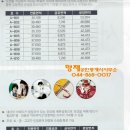 세종문구사