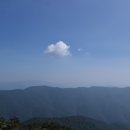 숲속의 하루 이미지