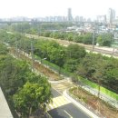 주정차47 이미지