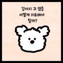 순창 동물병원 이미지