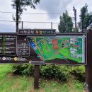 서구 구민운동장 입구 이미지