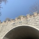 [한국 100대 명산] 충남 청양 칠갑산 등산 후기, 초보자 등산 코스로 추천🙌 (+ 예산 예당저수지 출렁다리)