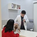 부산종합동물병원 | 부산 종합 동물병원 한곳에서 진료, 수술, 검사까지 가능한 병원을 찾는다면