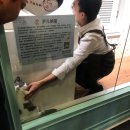 본알레