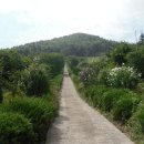 반송동183 이미지