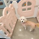 또또미용실 이미지