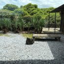 대복의류 | 🌴제주) 동쪽/성산 카페추천 (롯지먼트,카멜커피,구할구,꼬스뗀뇨)