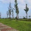 시화호수로4 이미지