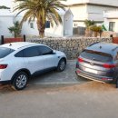 요요정원 이미지