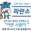 진짜잘하는청소