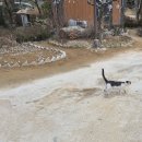 포시즌베이커리카페 네이버블로그