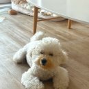 용봉로R 이미지