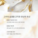 나무의집