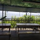 등나무민박 이미지