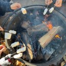 세움어린이집 이미지