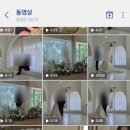 [토탈 스튜디오] 청주 원규스튜디오 웨딩촬영 추천! 촬영 및 셀렉 솔직 만족 후기
