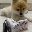 김호두 이미지