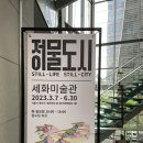 세화 샬레 | 세화미술관 :: 정물도시 전시 후기 (3.7~6.30)