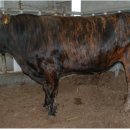 경상북도 축산기술연구소 이미지