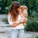 장애인복지회관 건너편 이미지