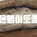 미쁨누리