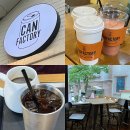 통일애견 | 신림역 카페ㅣ보라매역 근처 애견 동반 가능한 감성 카페 캔팩토리 내 돈 내산 추천 후기