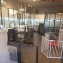 퐁퐁파피 이미지