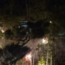 스테이물천 이미지