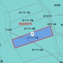 부동산경매공법(야간) | 기획부동산 지분경매 EXIT 후기 - ft. 공유물분할, 형식적경매, 손실